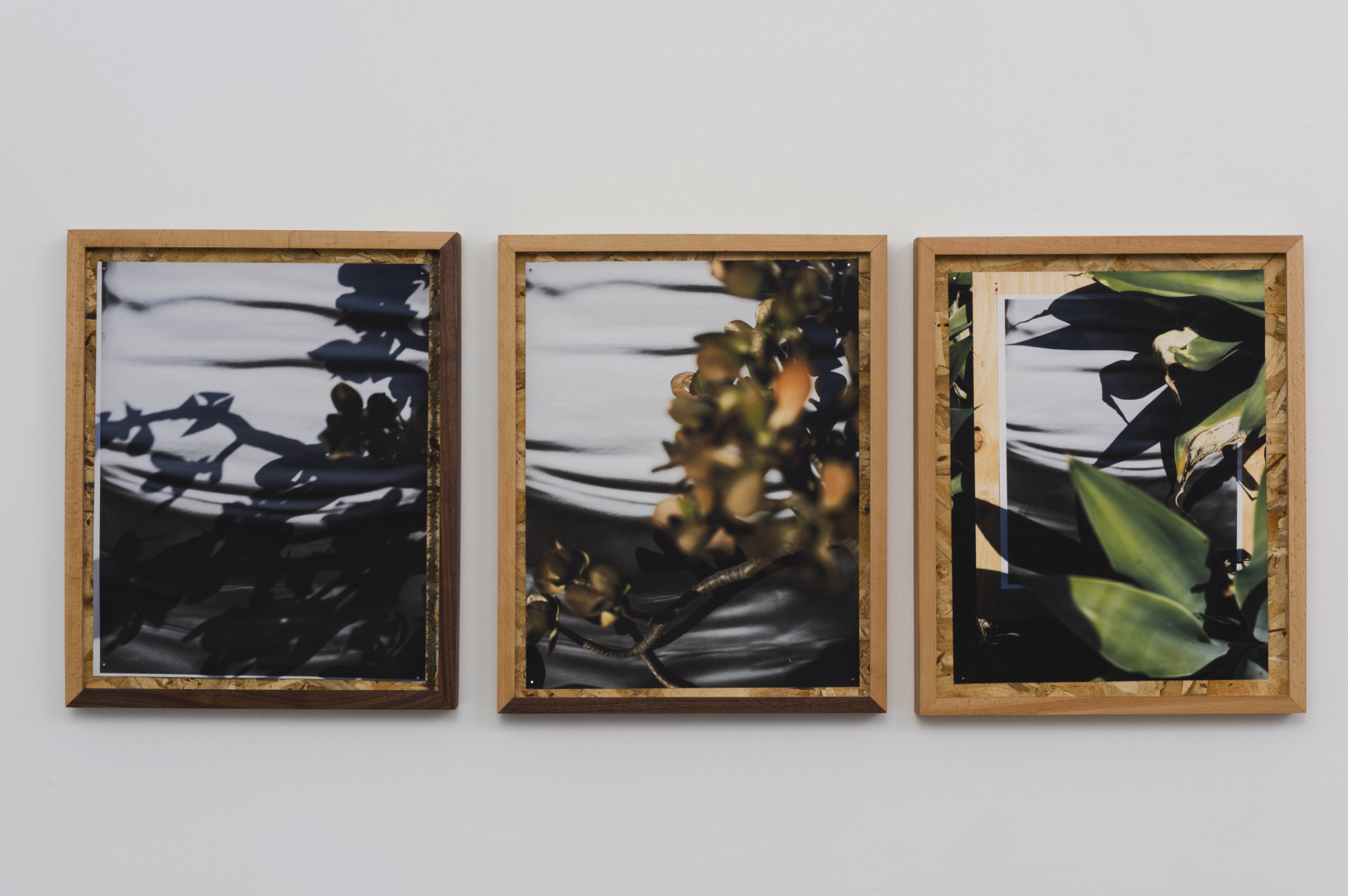 圖四、從左至右《庫卡蒙格牧場(chǎng) 34.1064° N, 117.5931° W. 》2018《回聲公園 34.0782° N, 118.2606° W.》 2018《康普頓 33.8958° N, 118.2201° W. 2018》David Alekhuogie